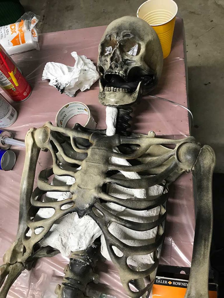 Corpsing a skeleton > Organs in rib cage