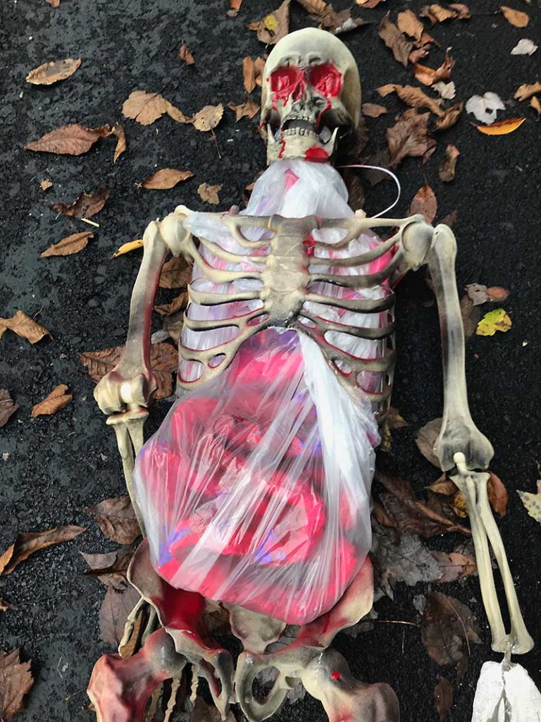 Corpsing a skeleton > Plastic wrapped organs