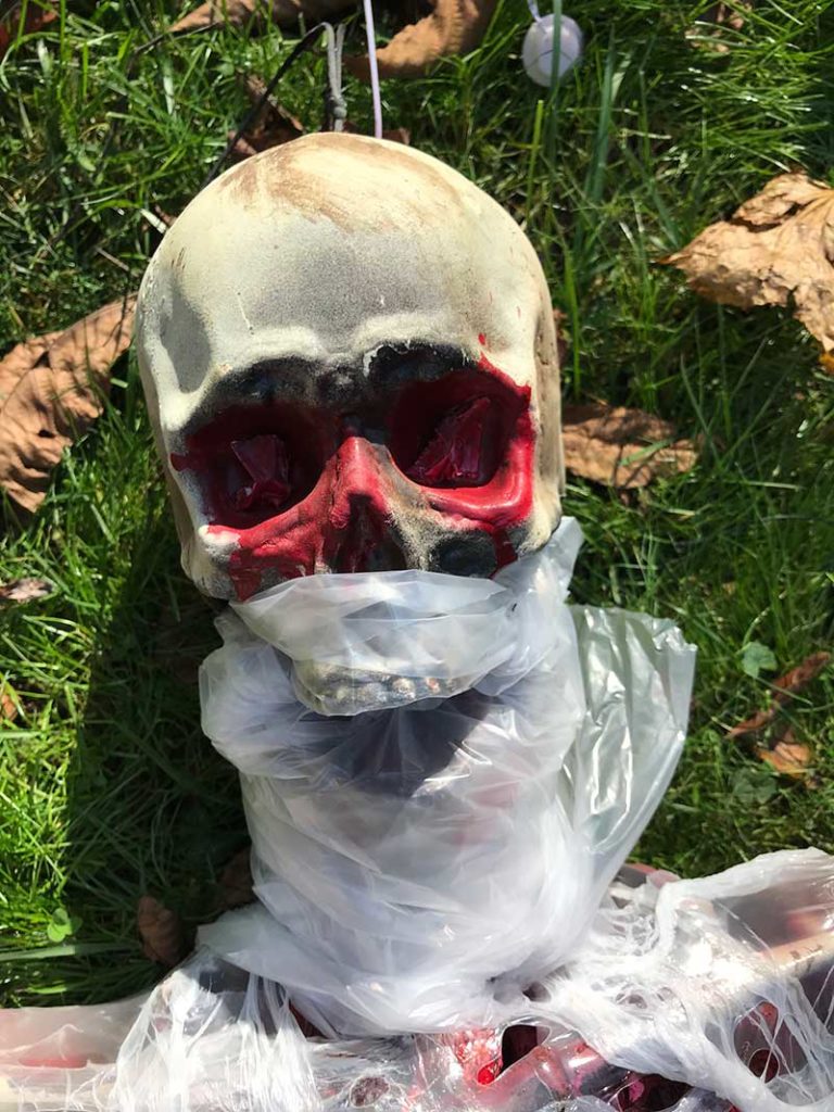 Corpsing a skeleton > Skull plastic preparation