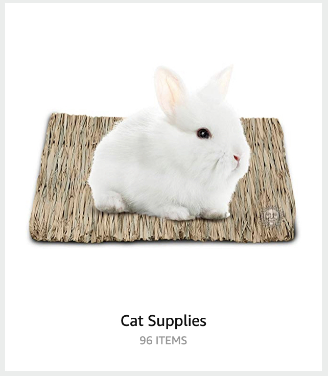 Bunny Rabbit as cat supplies, recommended by Amazon. 