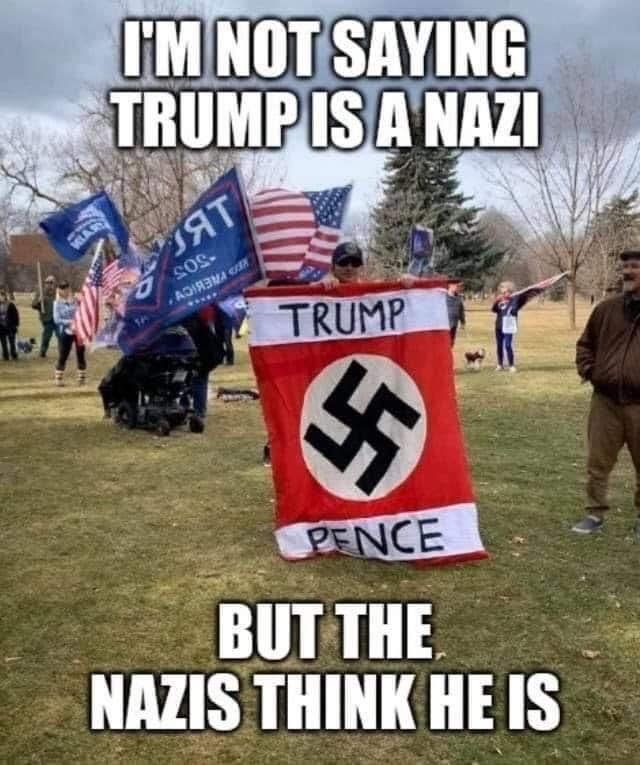 I'm not saying Trump is a Nazi but the Nazis think he is. 