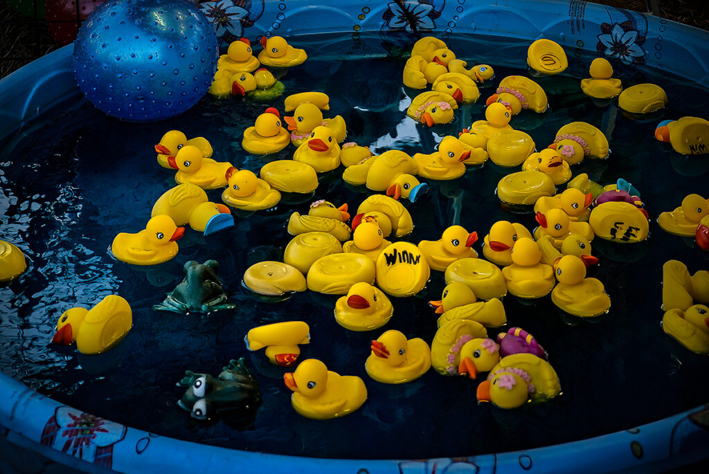 Rubber Ducks in a Pool of Water. Carnival. One duck is tipped over and reads, 'Winnr' (misspelled.) 